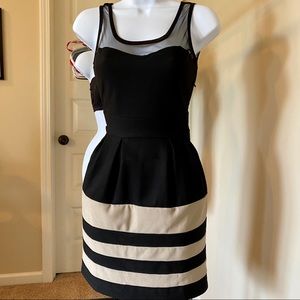 Tan and Black Dress with Mesh Top (Never Worn)